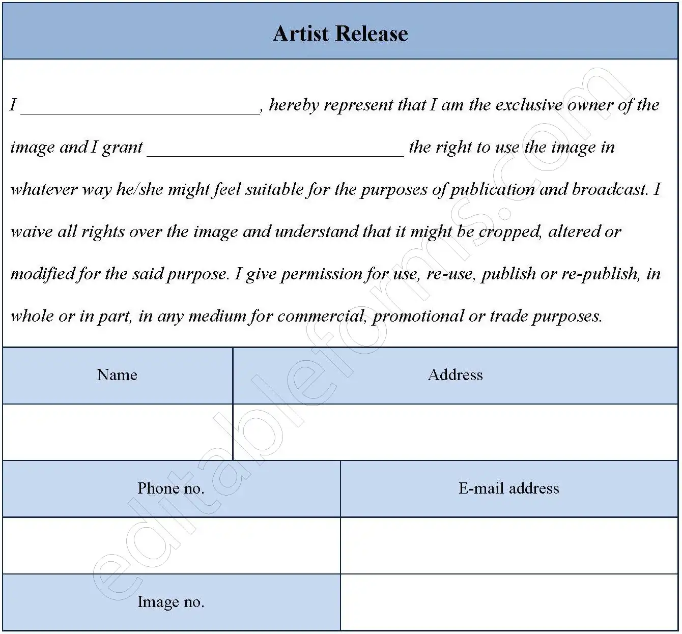 Artist Release Fillable PDF Template