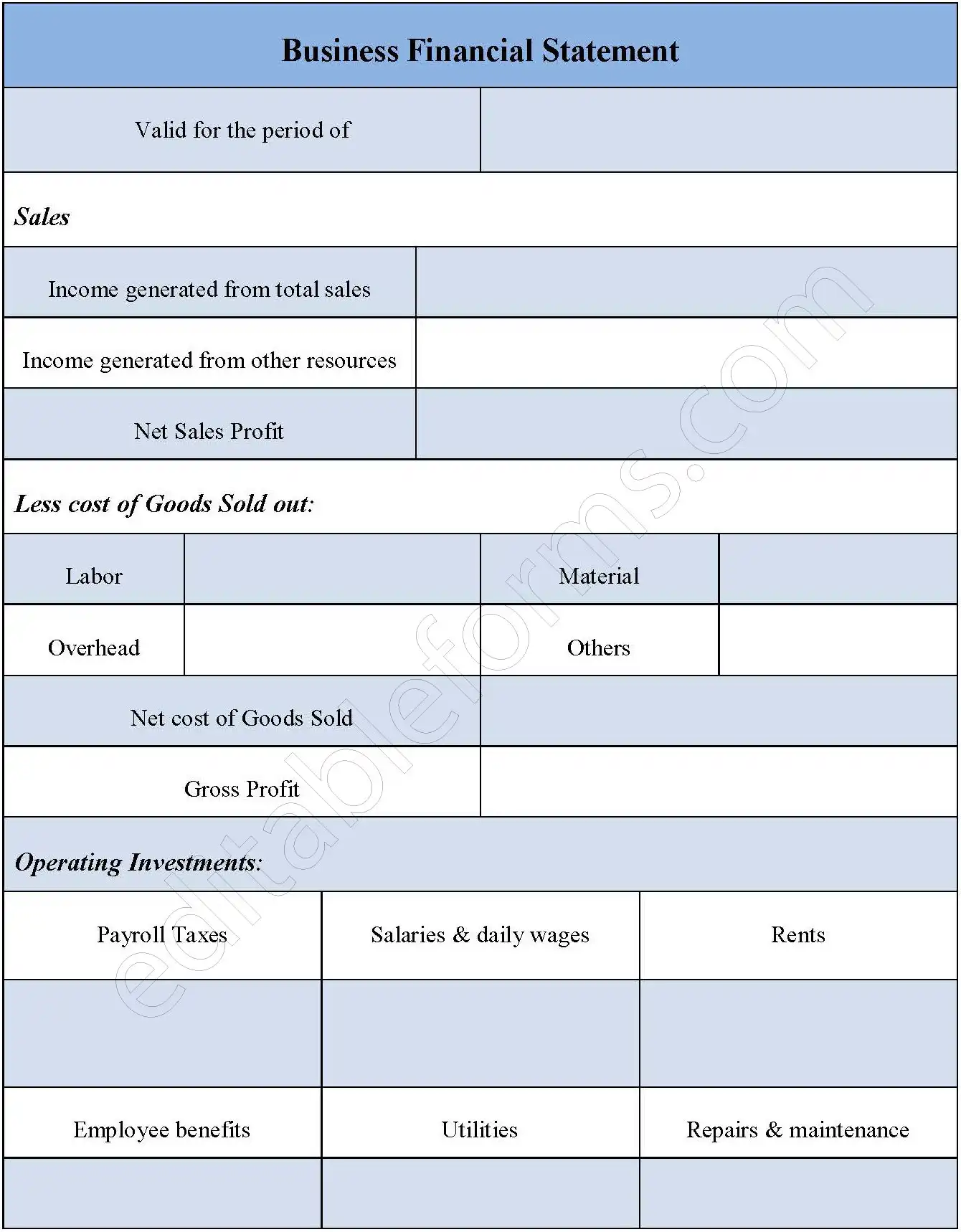Business Financial Statement Fillable PDF Template