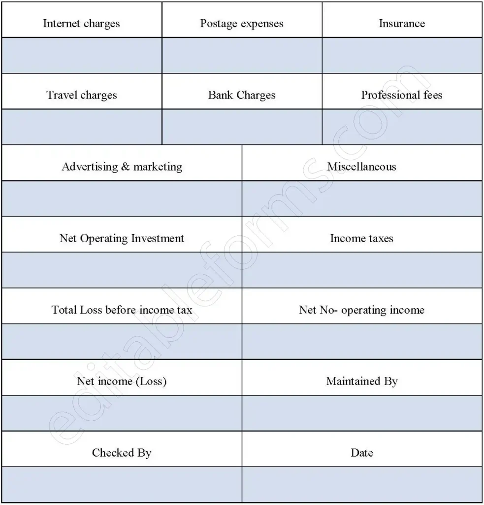 Business Financial Statement Fillable PDF Template