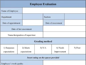 Employee Evaluation Form