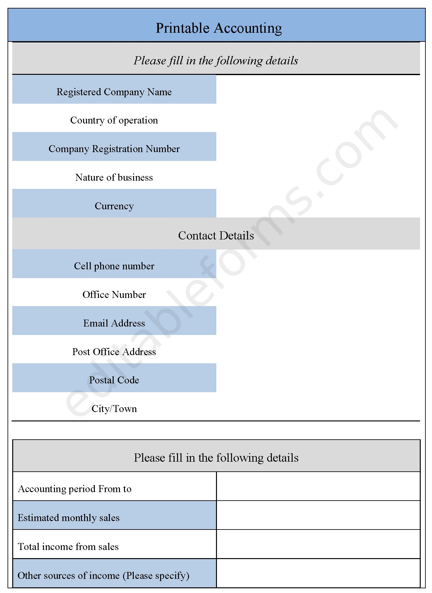 Printable Accounting Fillable PDF Template