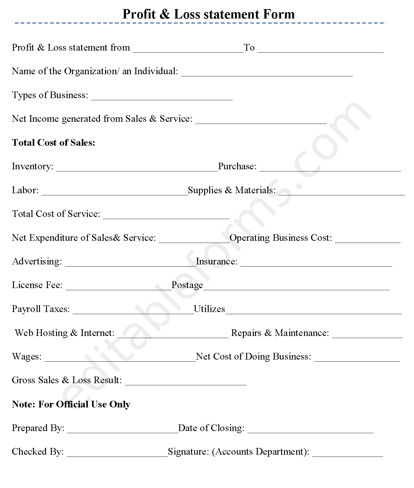 Profit & Loss Statement Fillable PDF Template