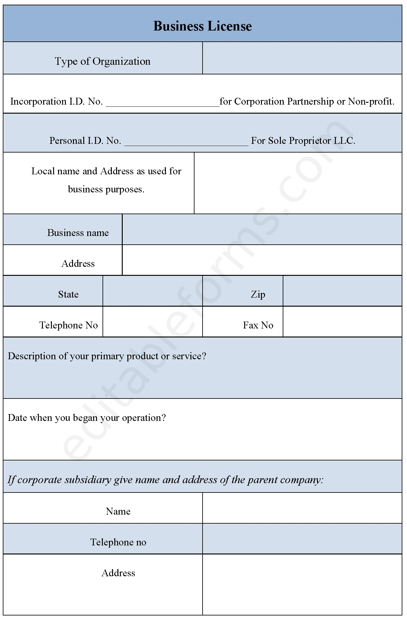 Sample Business License Fillable PDF Template