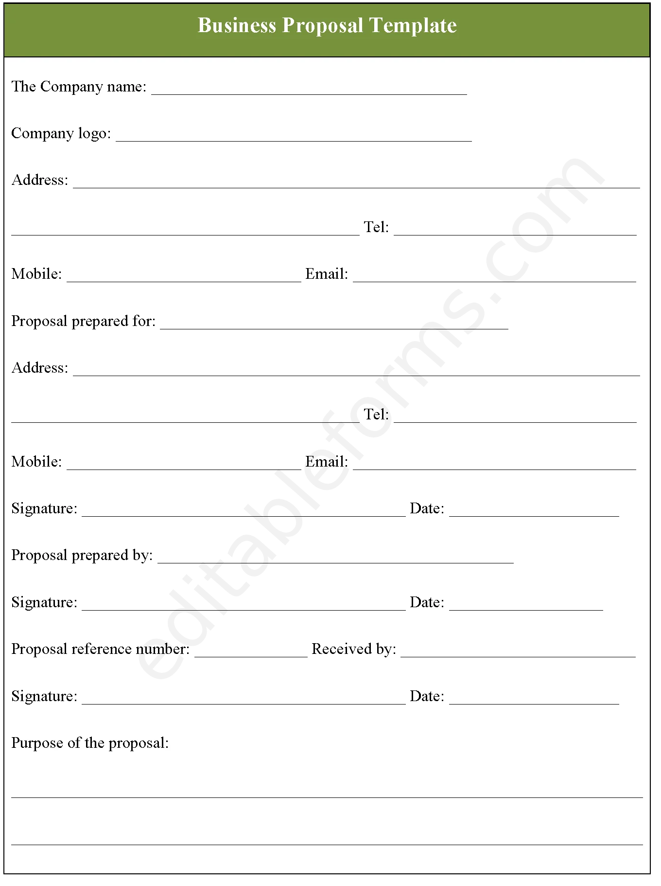 Business Proposal Template Fillable PDF Form