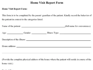 Home Visit Report Form