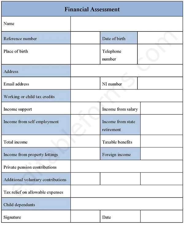 Financial Assessment Fillable PDF Template