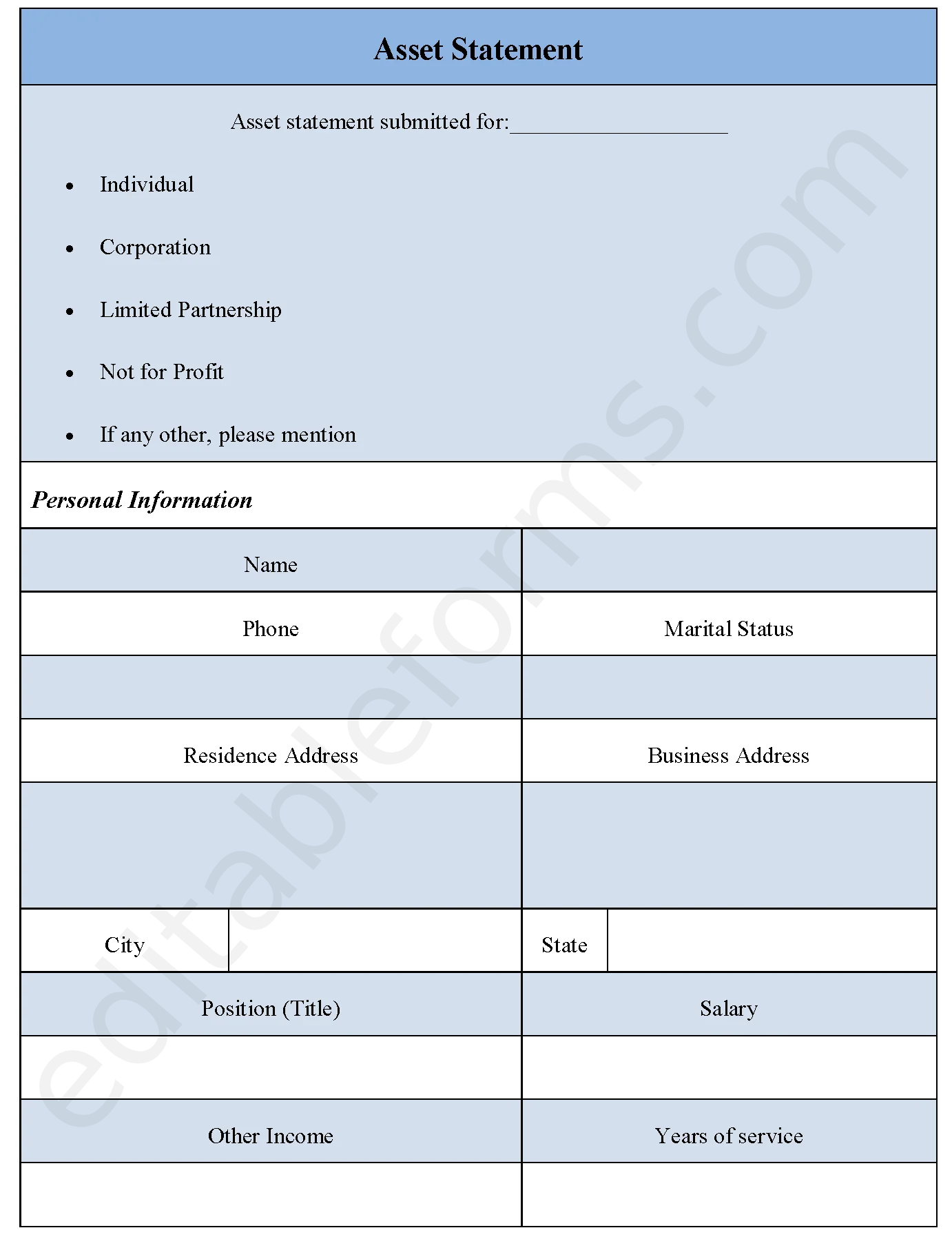 Asset Statement Fillable PDF Template