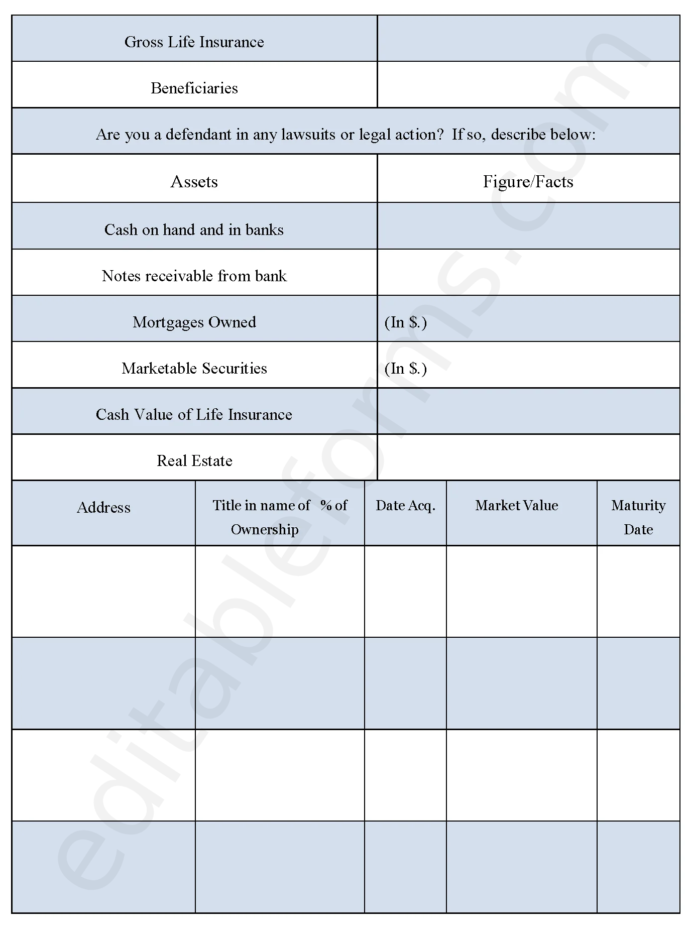 Asset Statement Fillable PDF Template