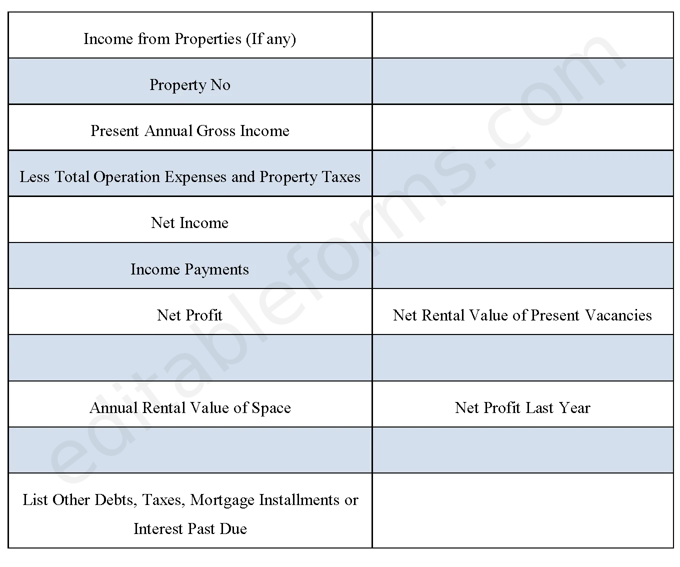 Asset Statement Fillable PDF Template