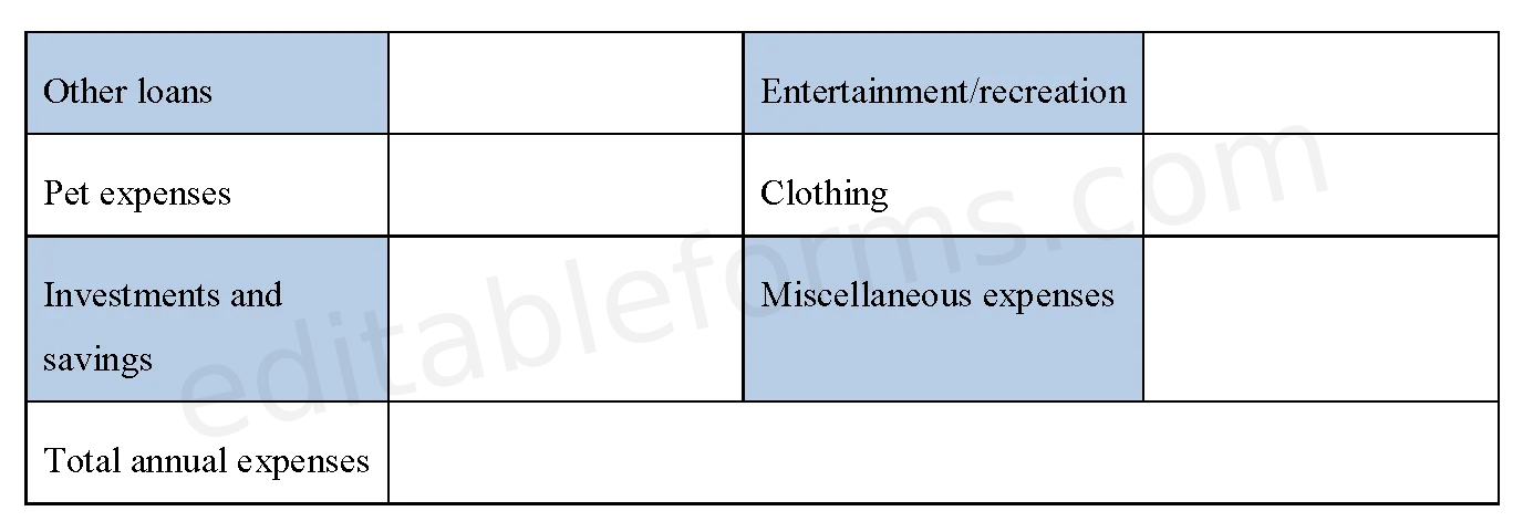 Annual Budget Fillable PDF Template