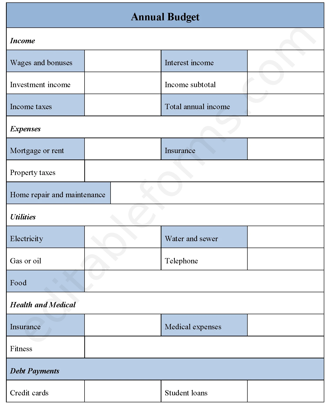 Annual Budget Fillable PDF Template