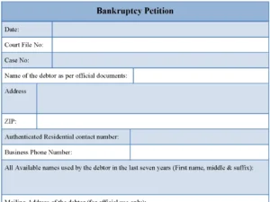 Bankruptcy Petition Form