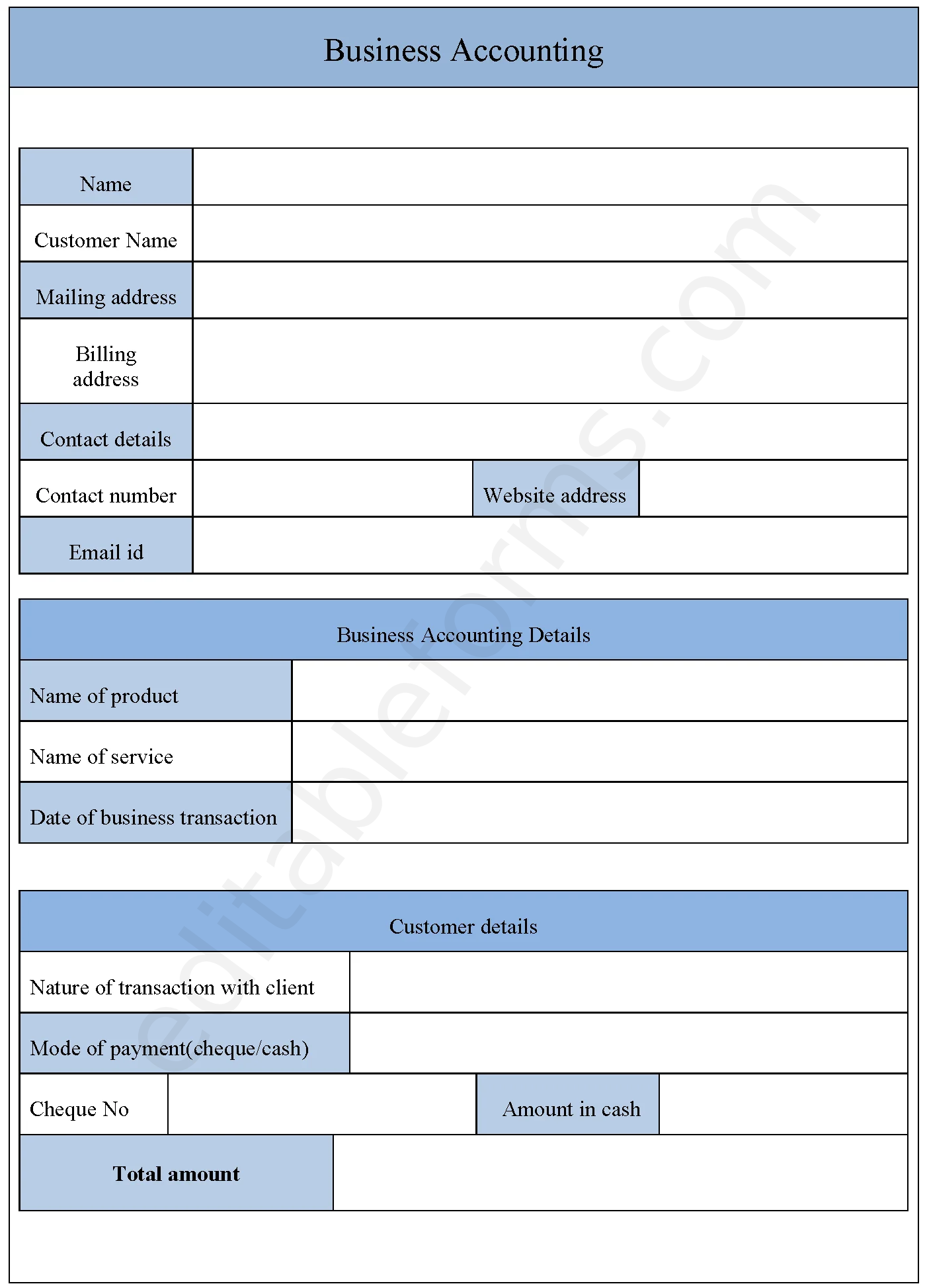 Business Accounting Fillable PDF Template