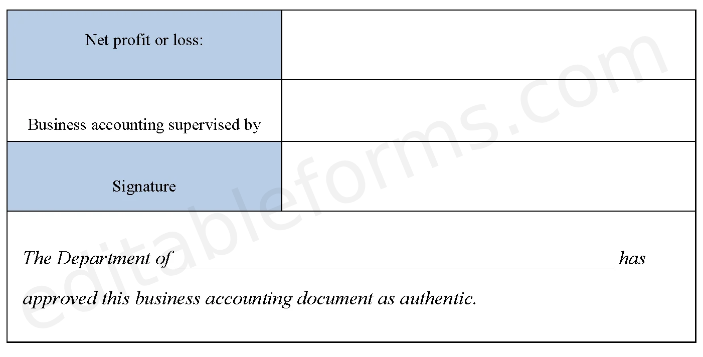 Business Accounting Fillable PDF Template