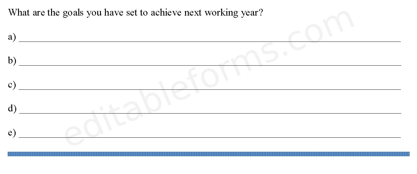 Performance Appraisal Fillable PDF Template