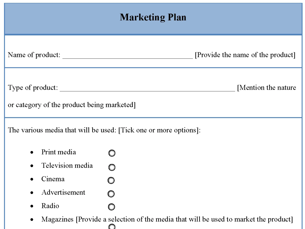 Marketing Plan Template