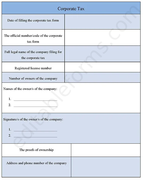 Corporate Tax Fillable PDF Template