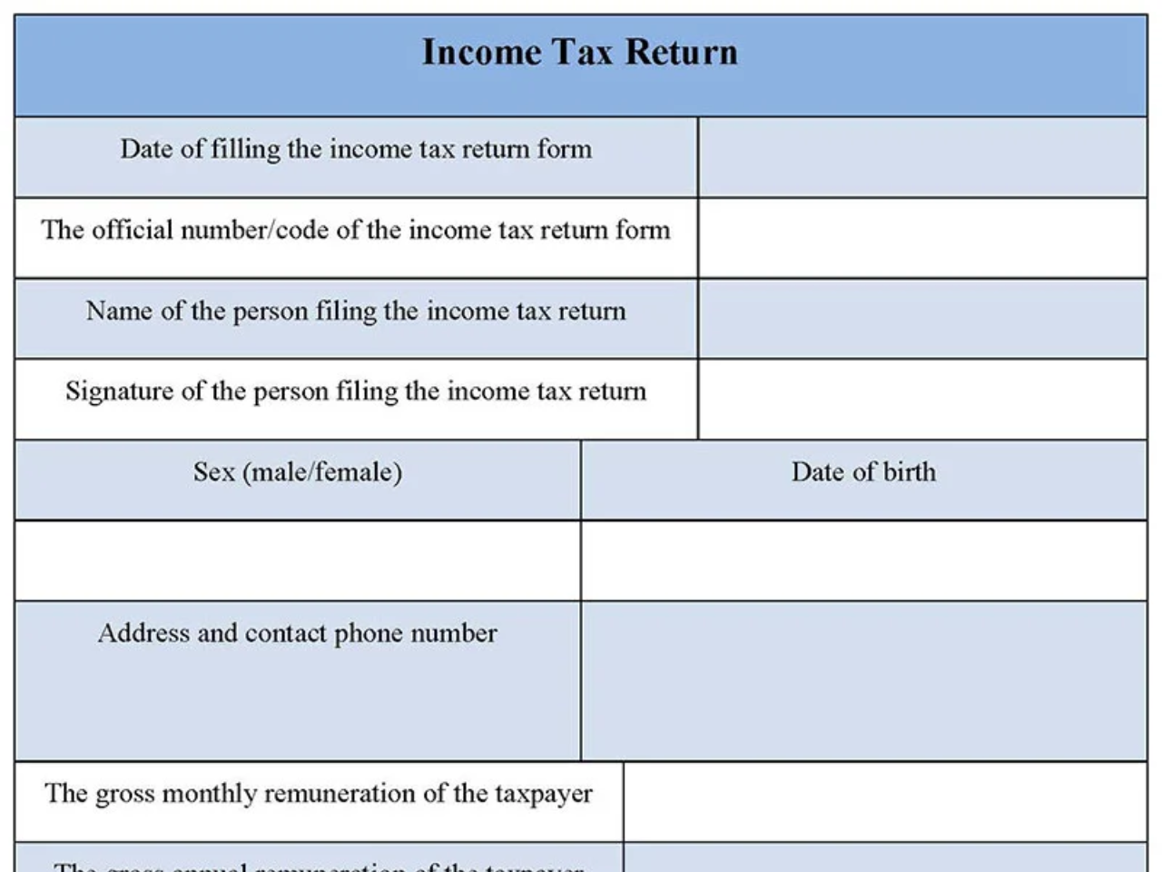 Income Tax Return Form