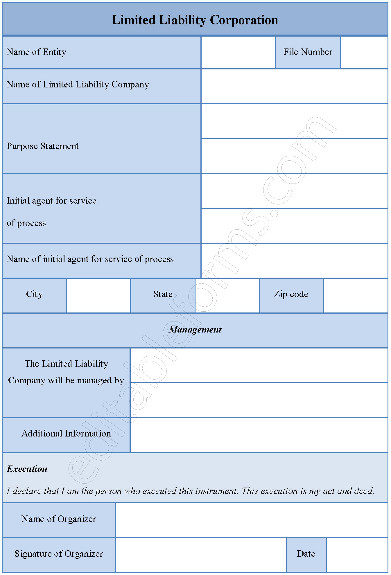 Limited Liability Corporation Fillable PDF Template