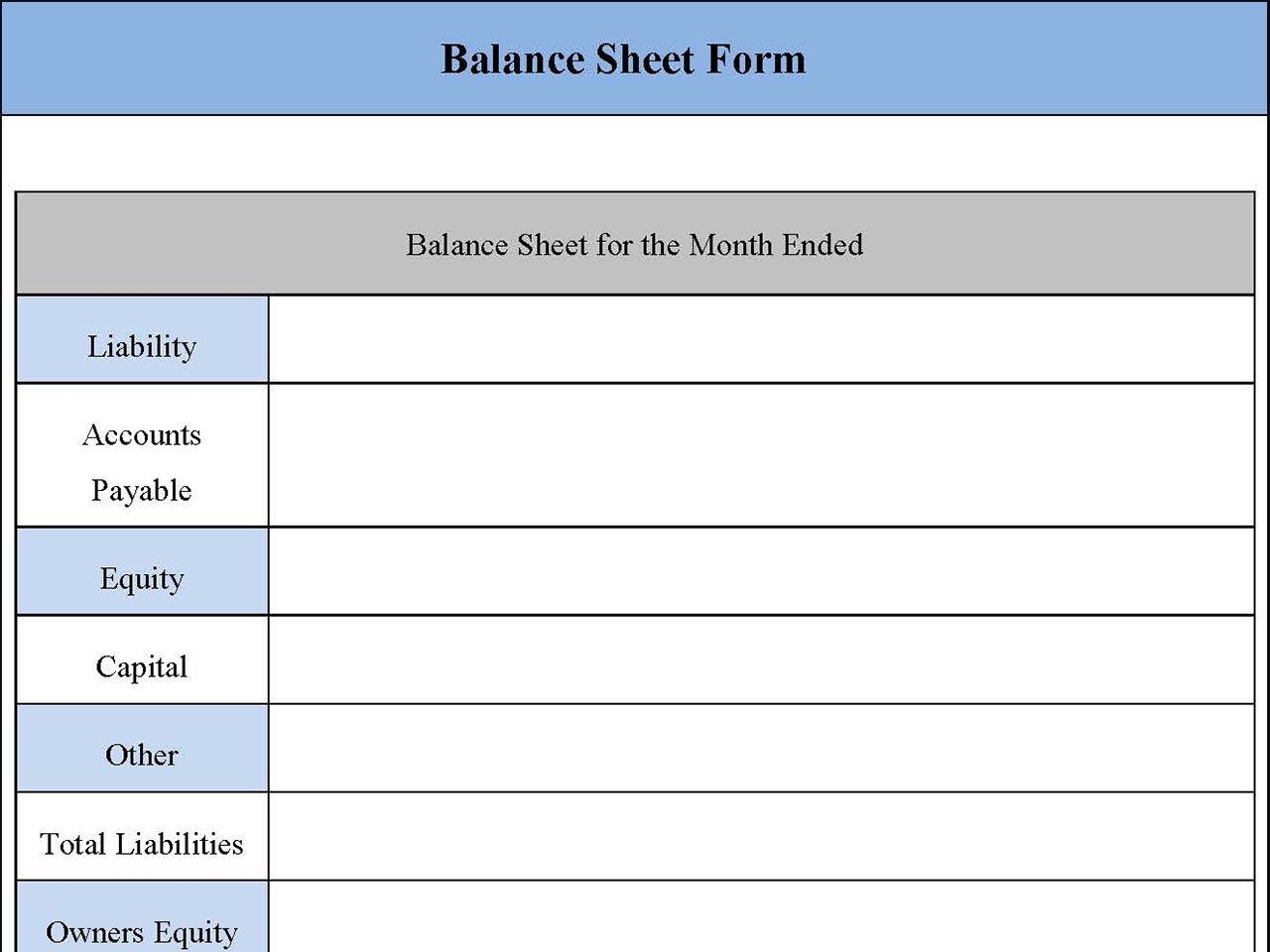 Balance Sheet Form