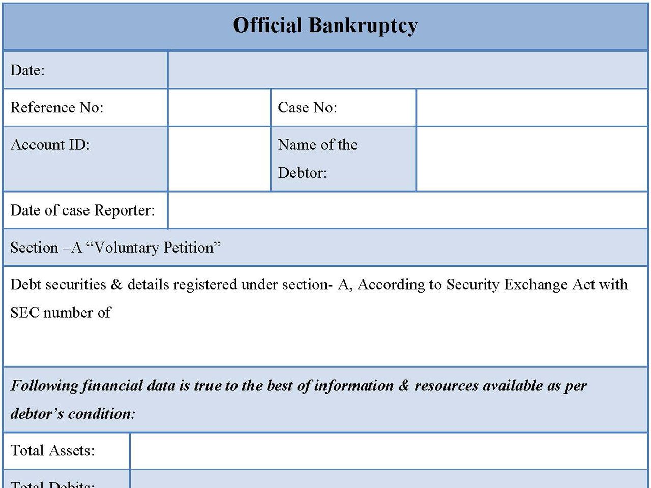 Official Bankruptcy Form