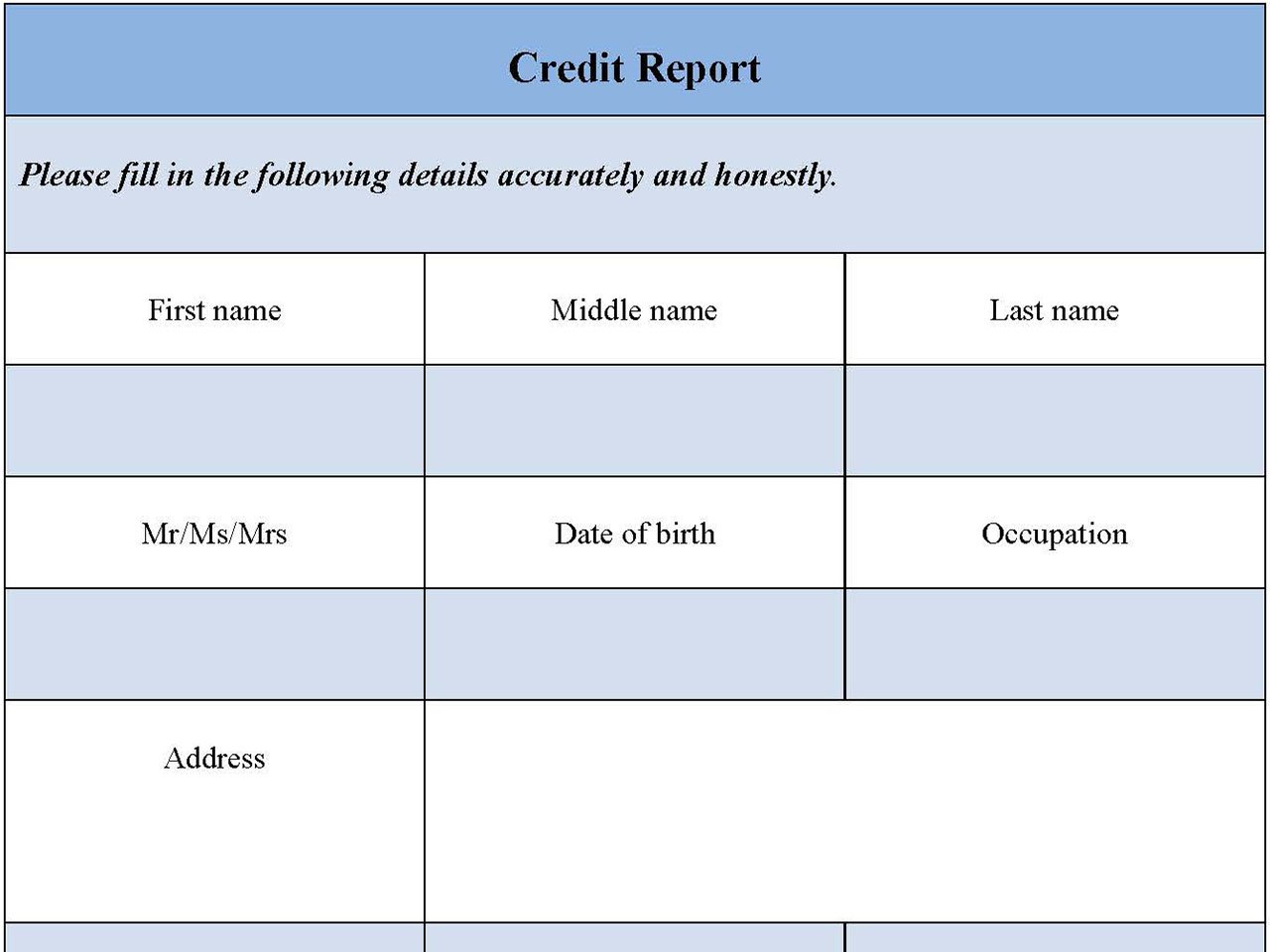Credit Report Form