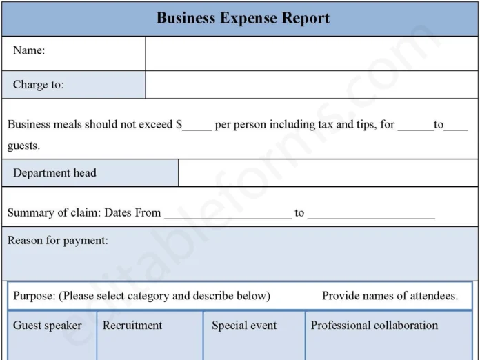 Business Expense Report Form