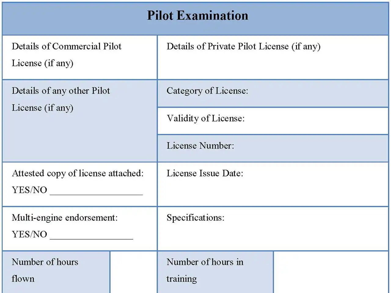 Pilot Examination Form