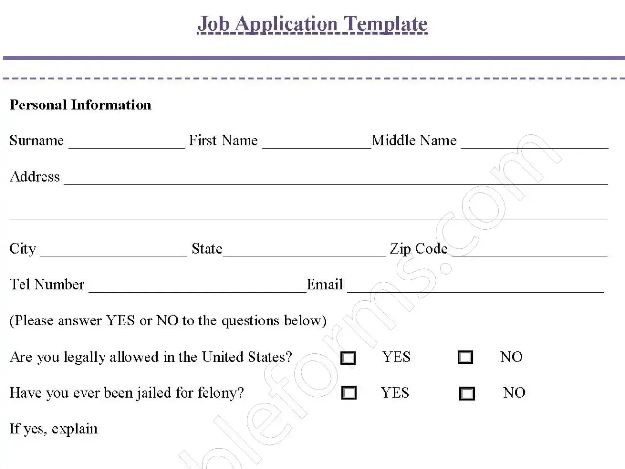 Job Application Fillable PDF Template