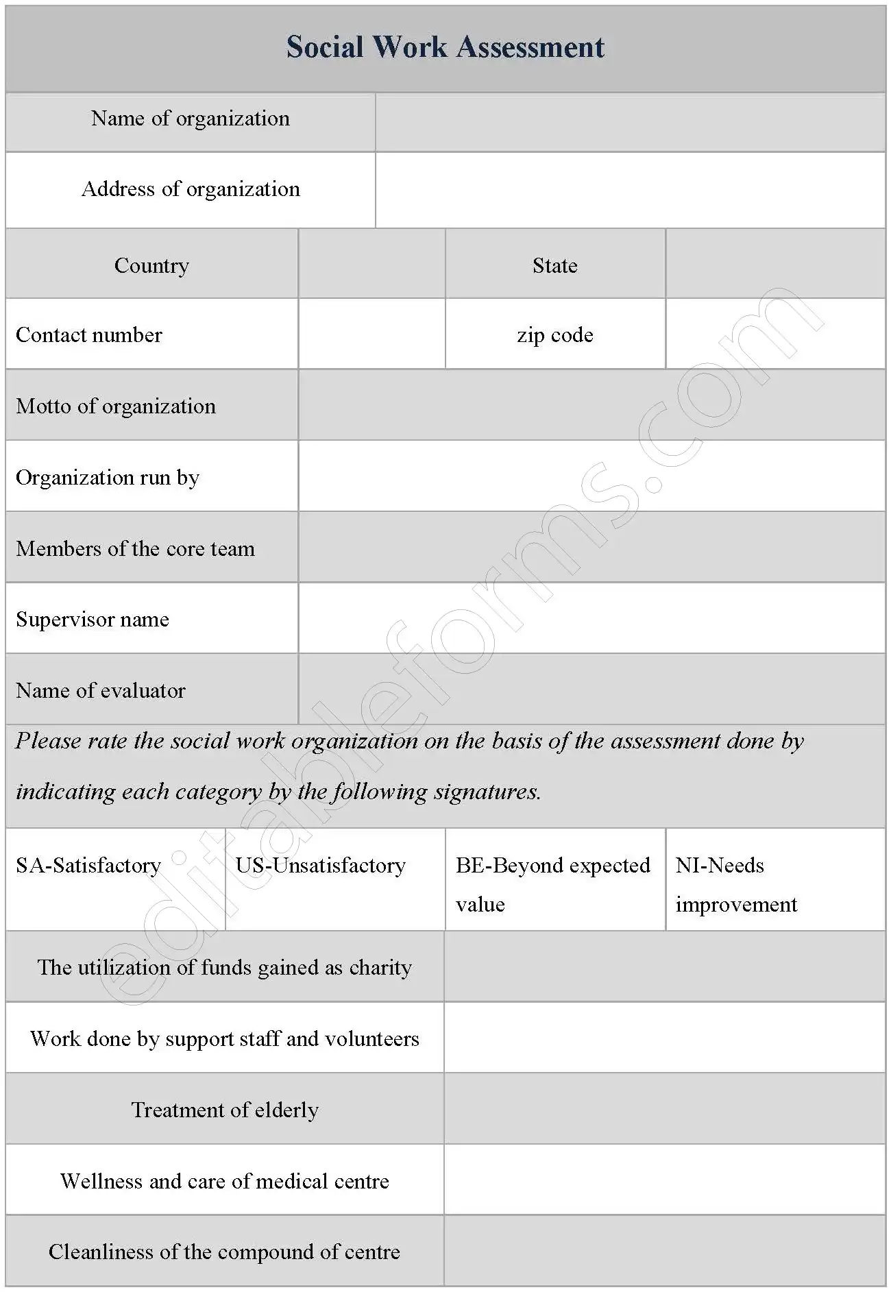Social Work Assessment Fillable PDF Form