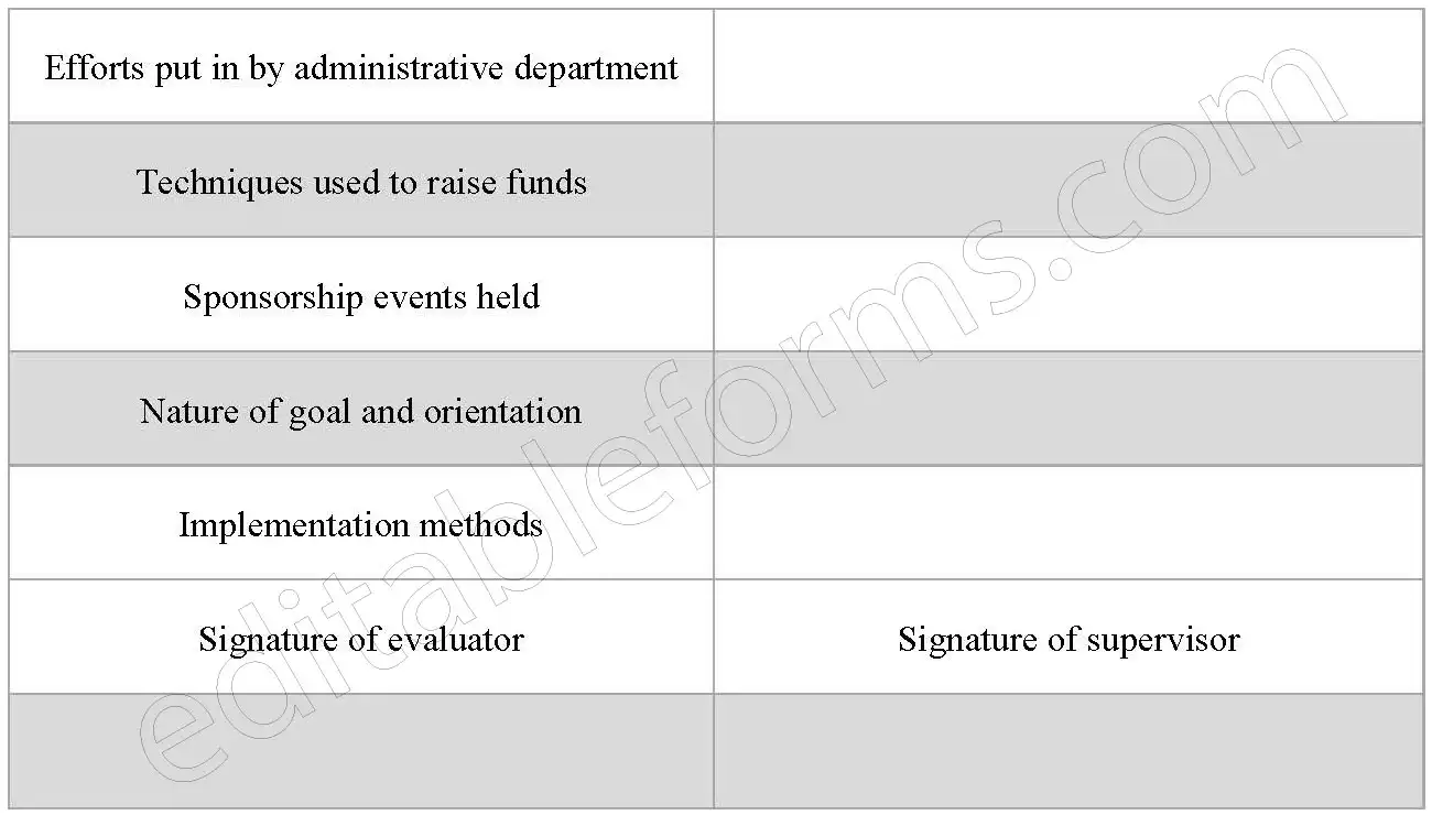 Social Work Assessment Fillable PDF Template