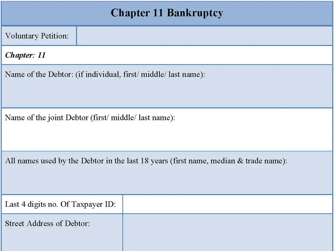 Chapter 11 Bankruptcy Form