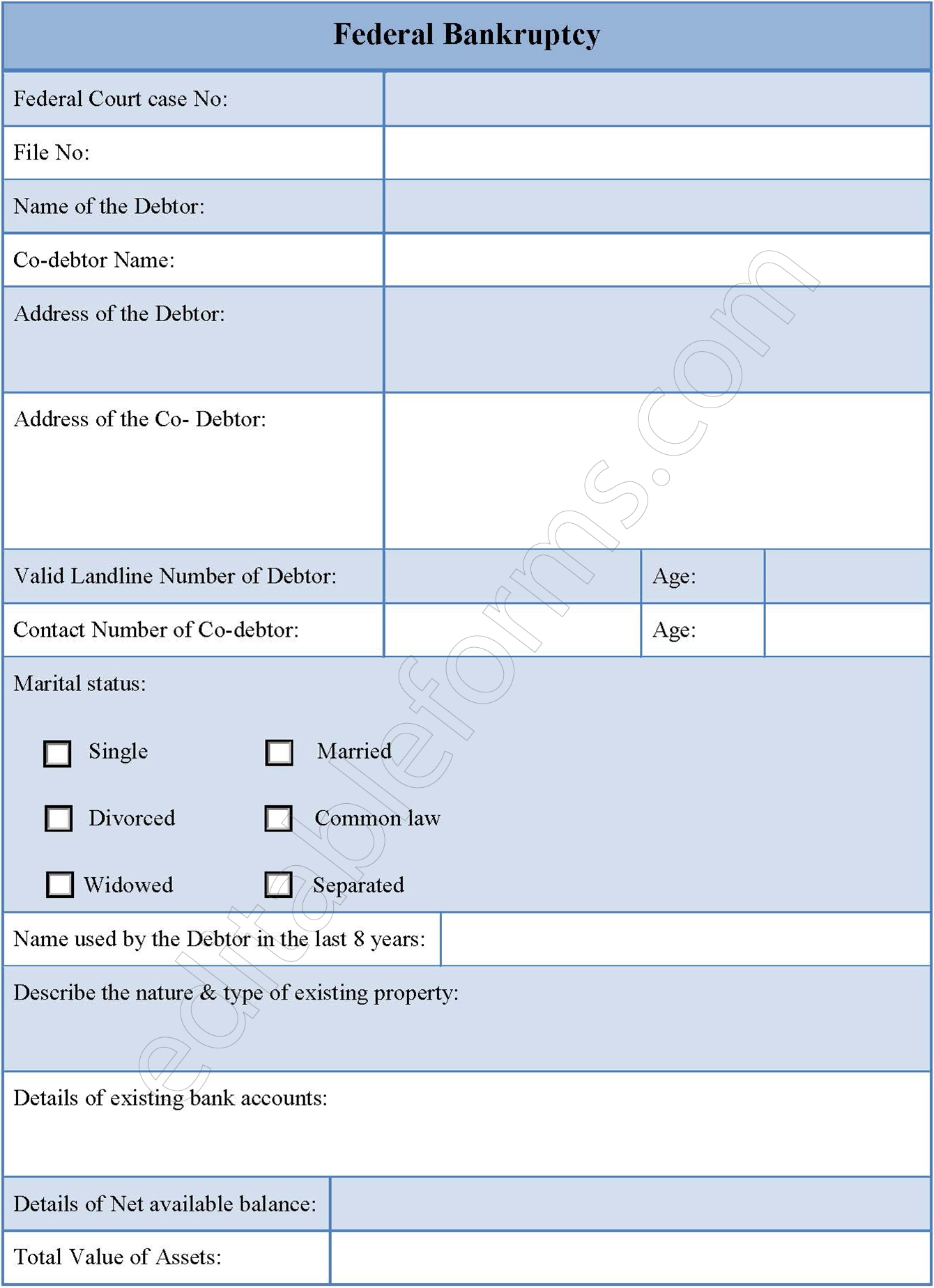 Federal Bankruptcy Fillable PDF Form