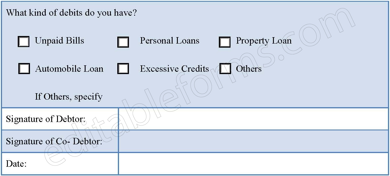 Federal Bankruptcy Fillable PDF Template
