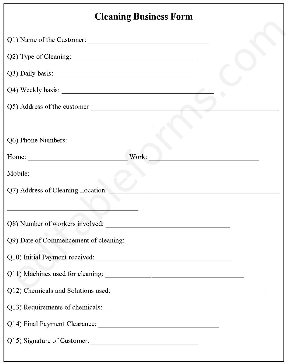 Cleaning Business Fillable PDF Template