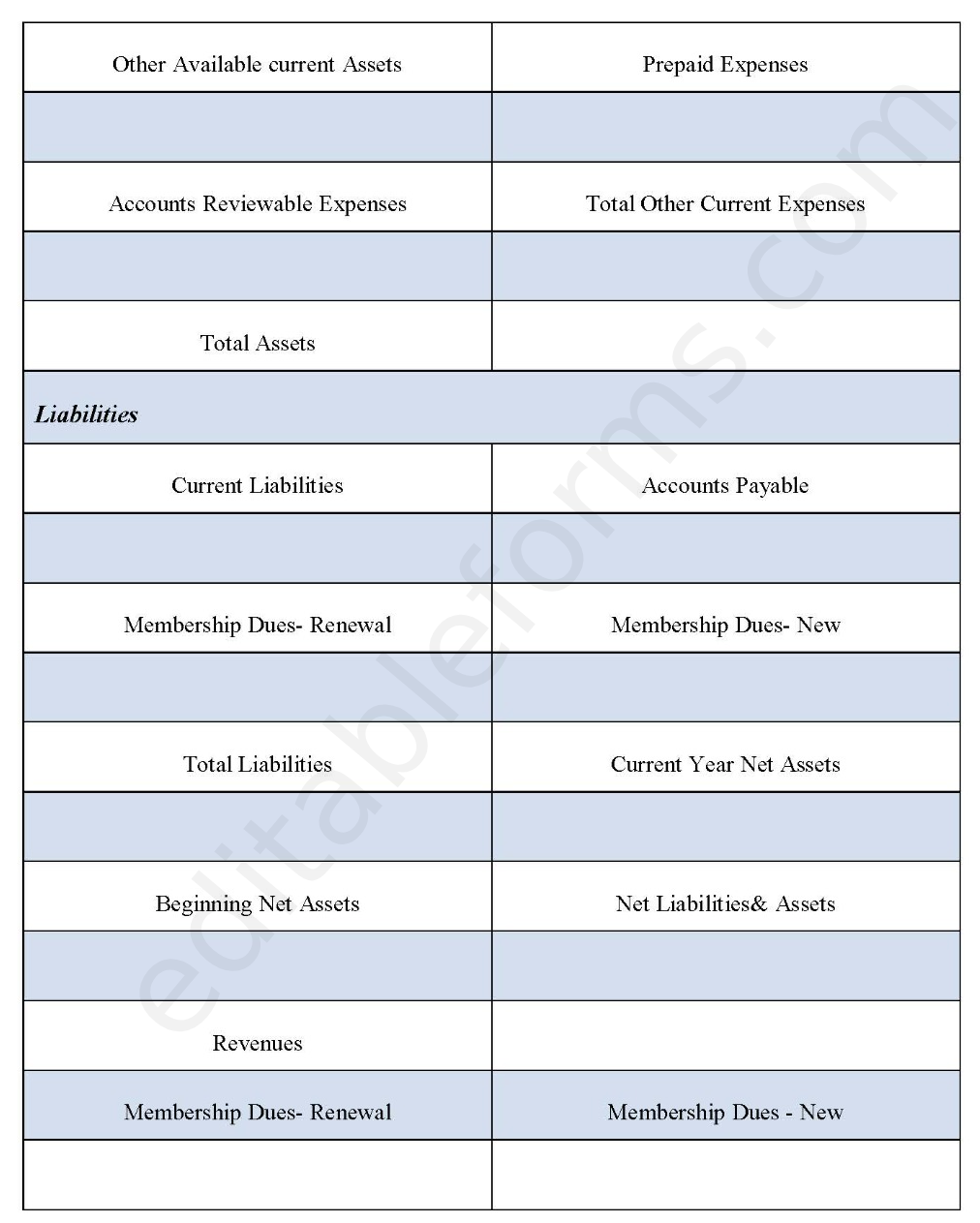 Statement of Blank Financial Fillable PDF Template