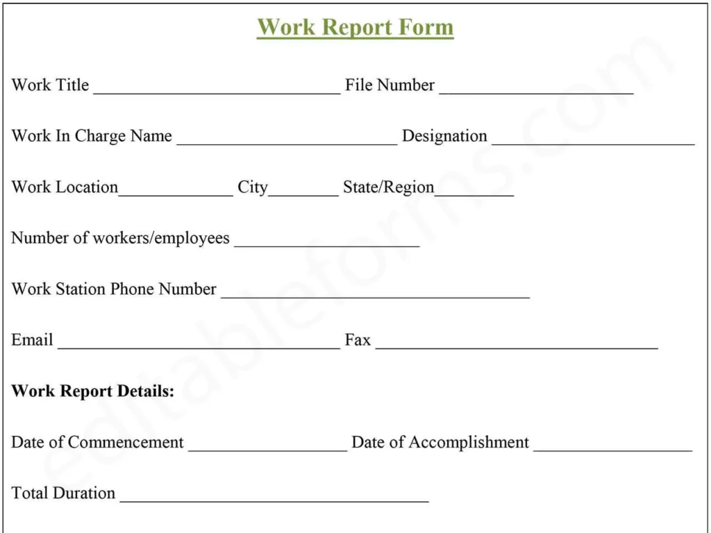 Fillable Work Report Template