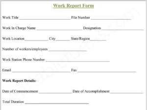 Fillable Work Report Template