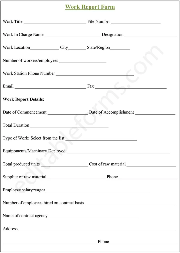 Fillable Work Report Template