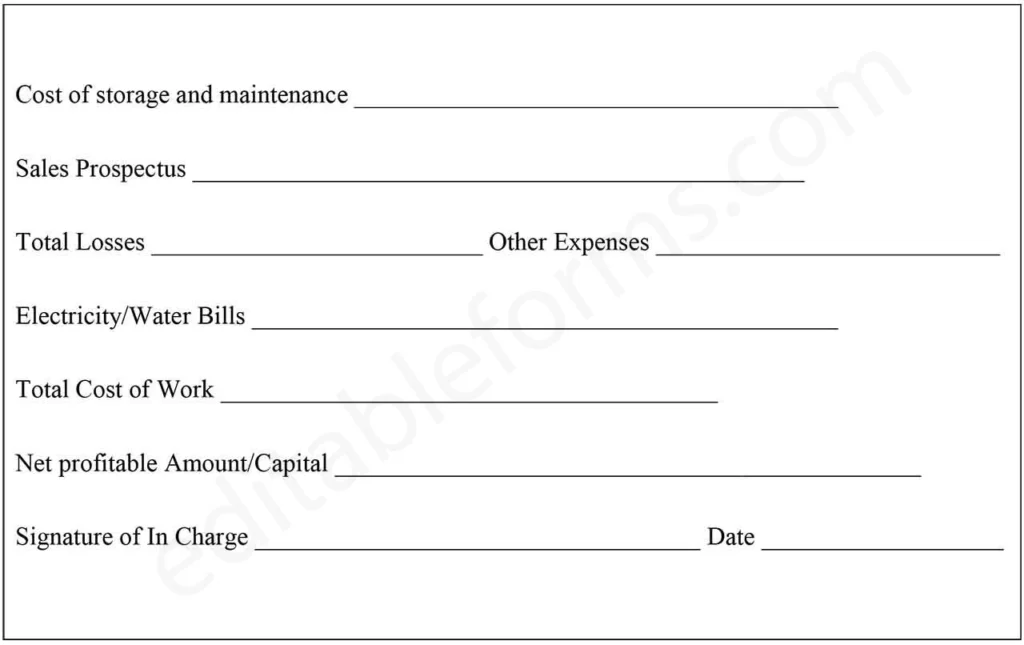 Fillable Work Report Template