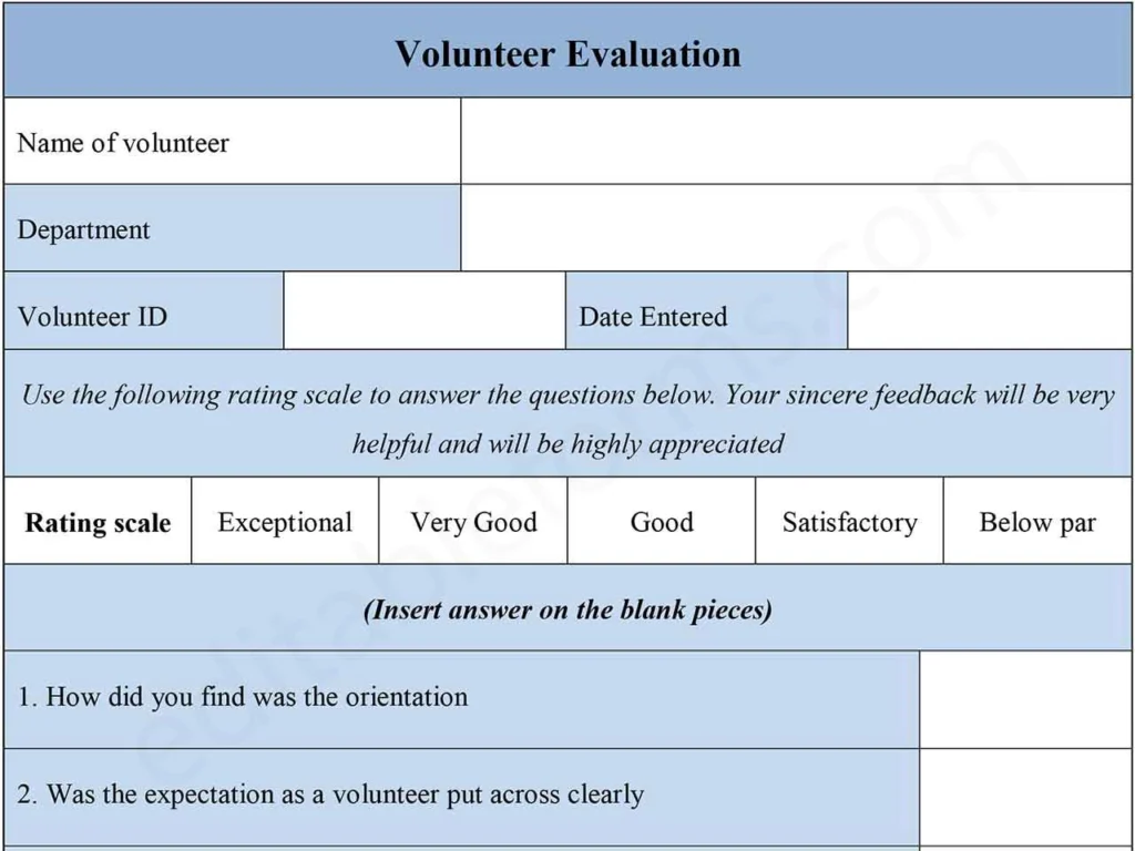 Fillable Volunteer Evaluation Template