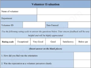 Fillable Volunteer Evaluation Template
