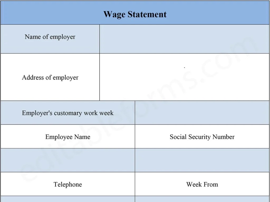 Fillable Wage Statement Form