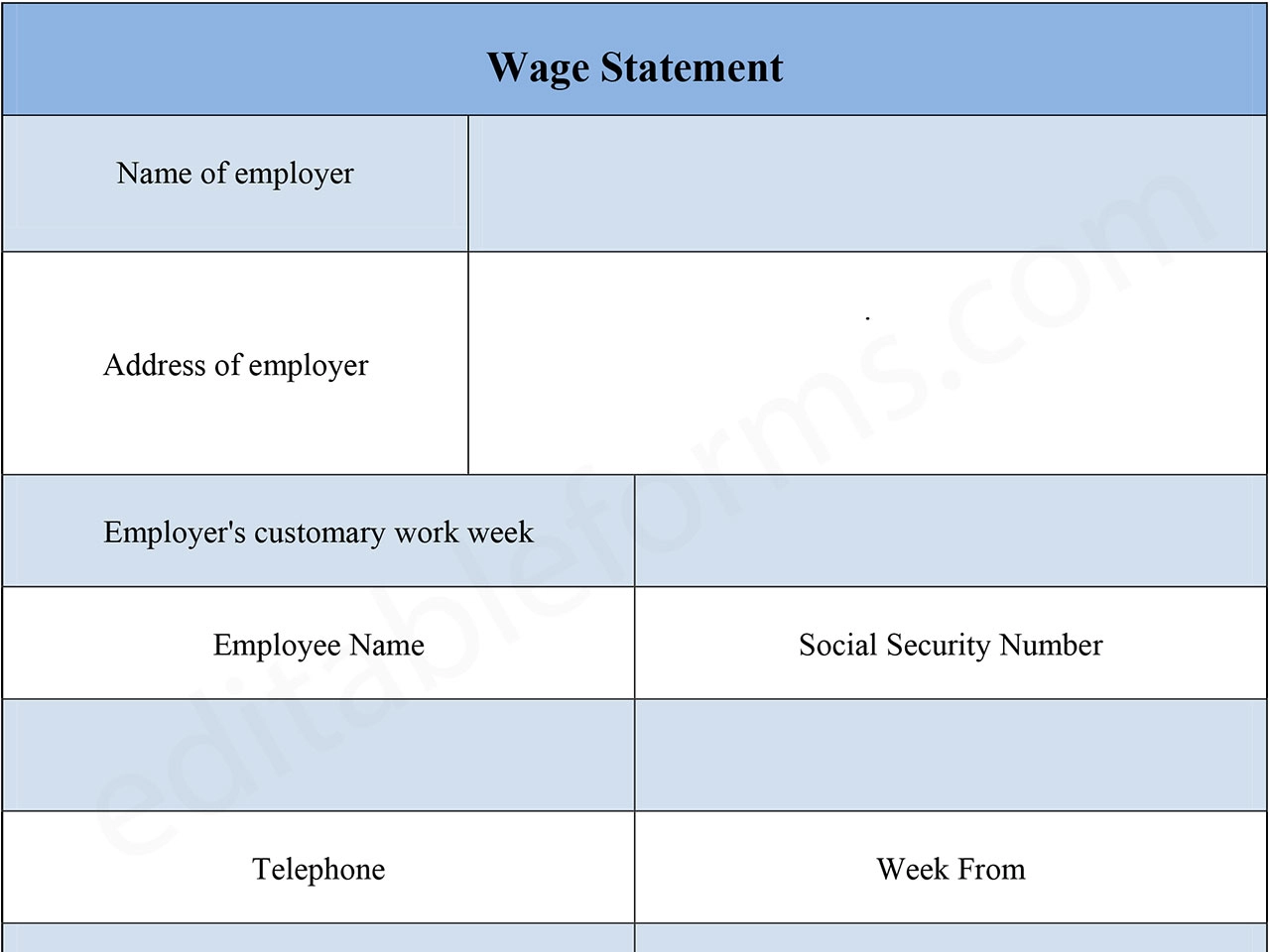 Fillable Wage Statement Form