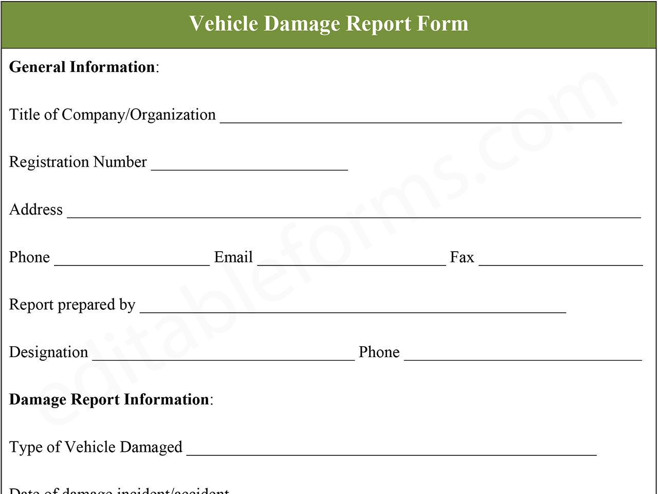 Vehicle damage report form