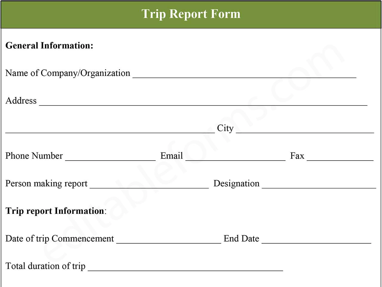 Editable Trip Report Form PDF