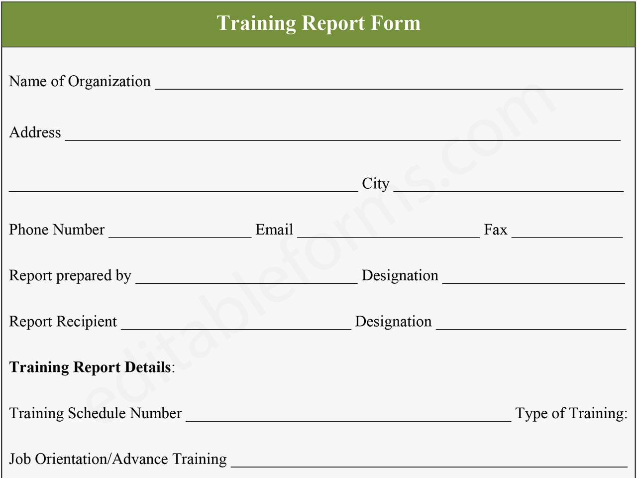 Editable Training Report PDF Form