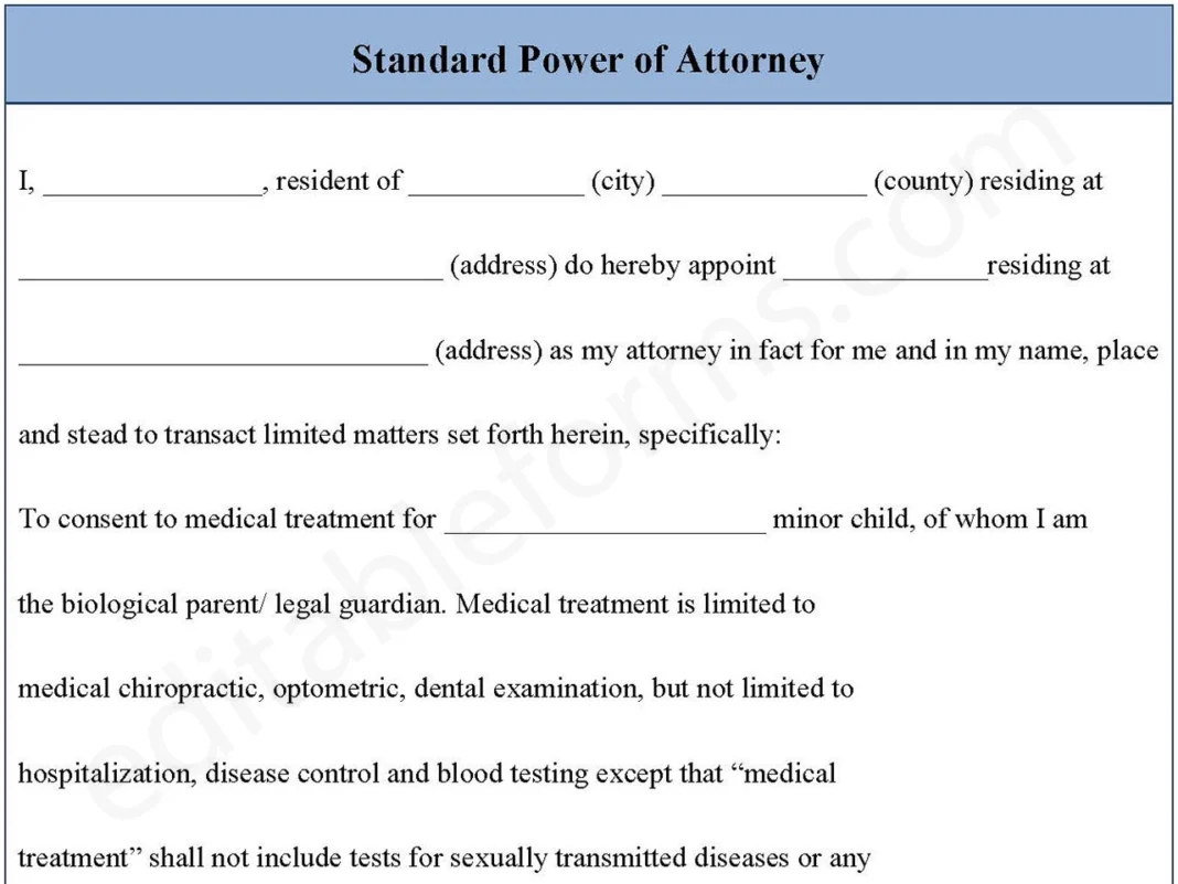 Standard Power of Attorney Form