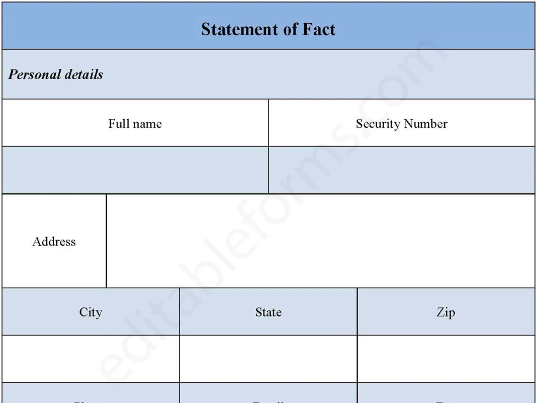 Statement of Fact PDF