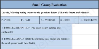 Small Group Evaluation Form – Fillable & Printable Team Assessment PDF Small Group Evaluation Form PDF